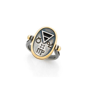 Earth 4 Elements Ring Elie Top